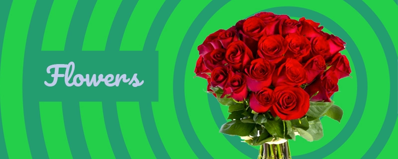 Flowers Flowers